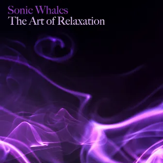 The Art of Relaxation by Sonic Whales