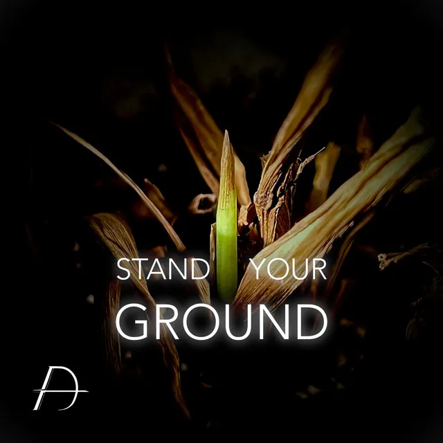 Stand Your Ground