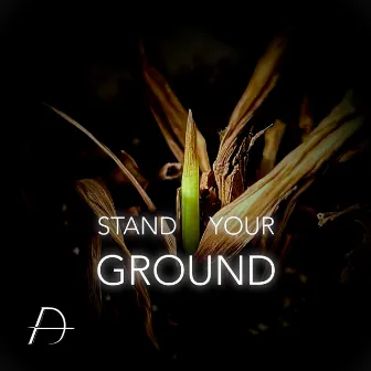 Stand Your Ground by David Andrew