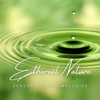 Ethereal Nature Reverie: Meditation Music by Ethereal Isolation