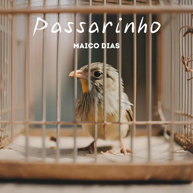 Passarinho