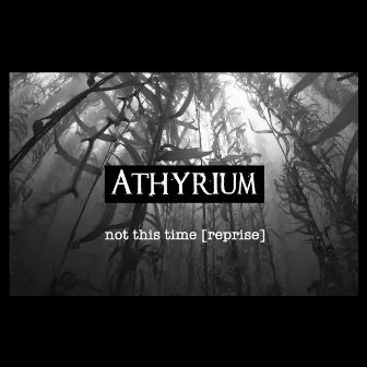 Not This Time (Reprise) by Athyrium