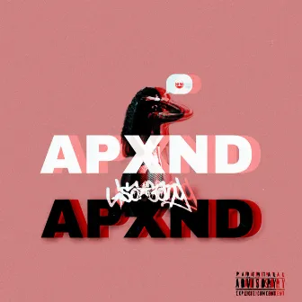 Apxnd by EVAS BABY