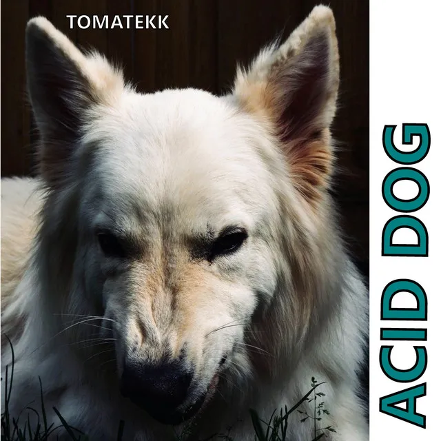 Acid Dog