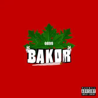 Bakor by Dannie Rush