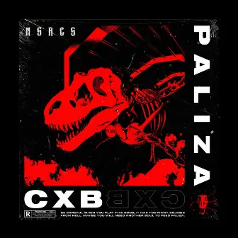 Paliza by CXB