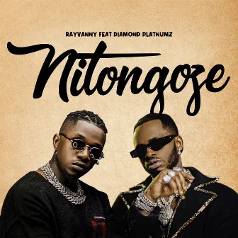 Nitongoze (feat. Diamond Platnumz) by Rayvanny