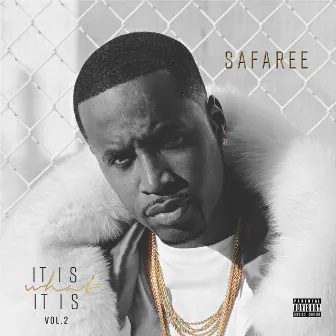 It Is What It Is, Vol. 2 by Safaree