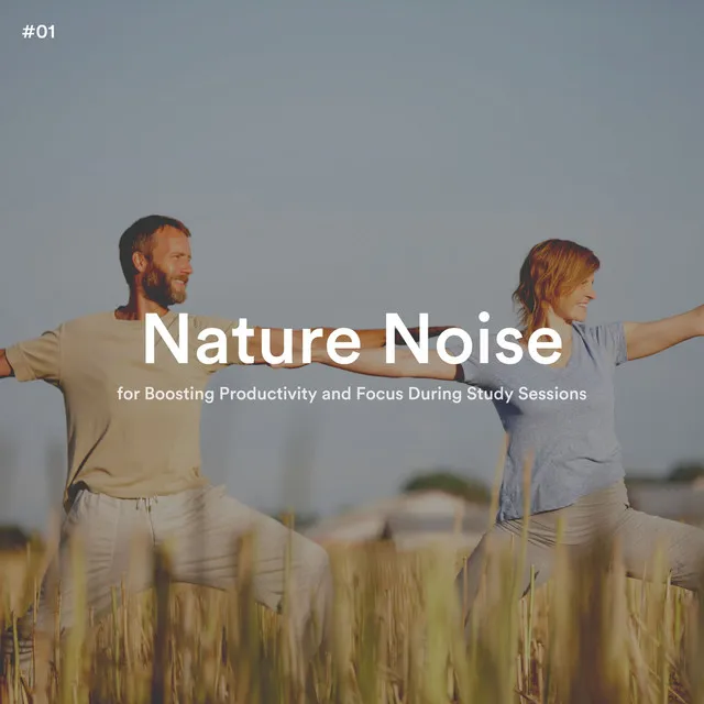 Nature Noise for Boosting Productivity and Focus During Study Sessions, Pt. 18