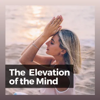 The Elevation of the Mind by Pure Work Music