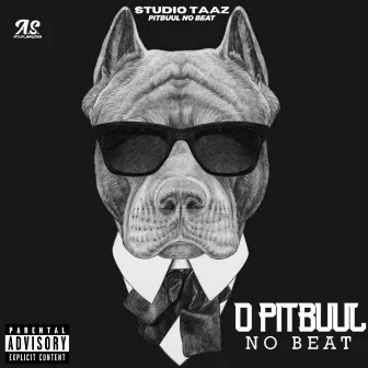 O Pitbuul no Beat by Studio Taaz