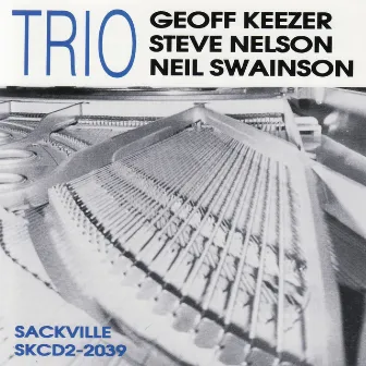 Trio by Geoff Keezer