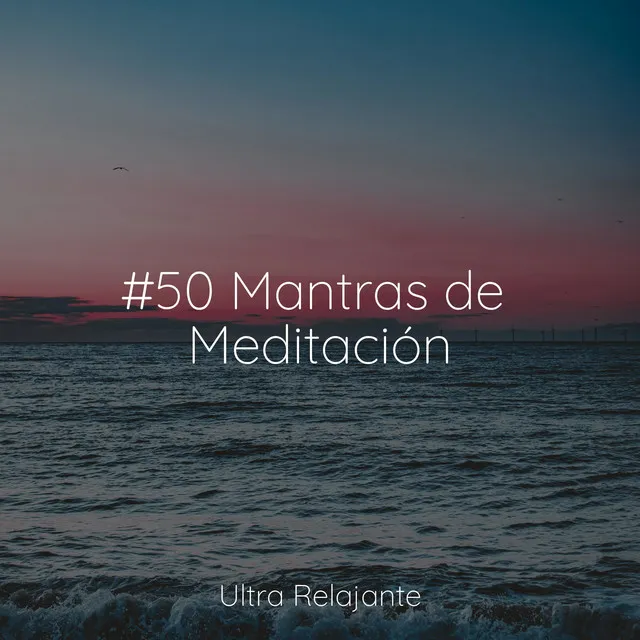 #50 Mantras de Meditación