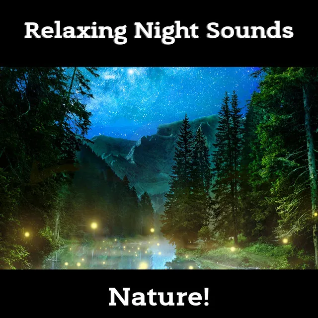 Relaxing Night Sounds