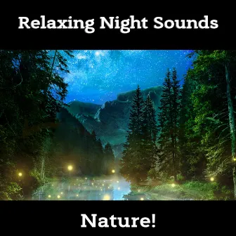 Relaxing Night Sounds by Nature!