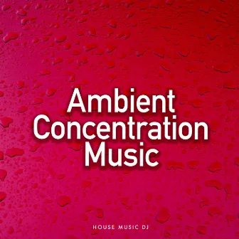 Ambient Concentration Music by Unknown Artist