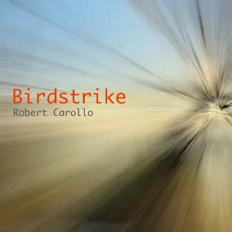 Birdstrike by Robert Carollo