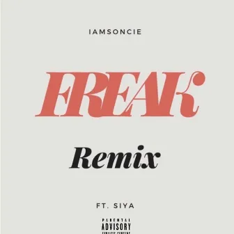 Freak (Remix) by Unknown Artist