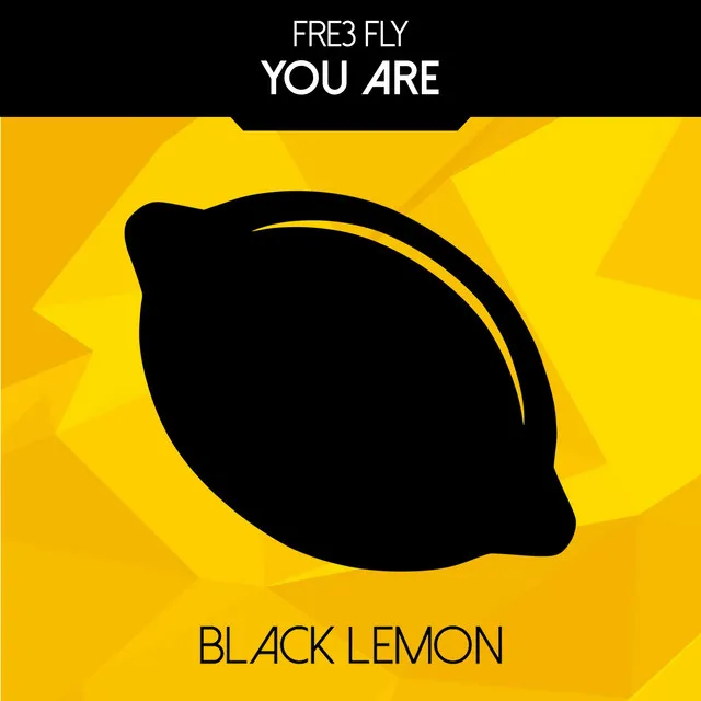 You Are - Danny Cotrell Radio Edit