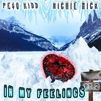 In My Feelings Pt. 2 by Peso Kidd