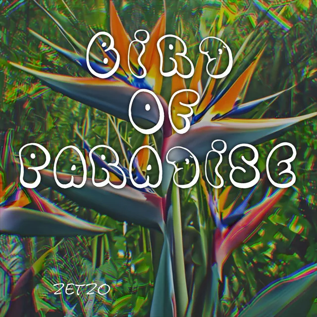 Bird of paradise