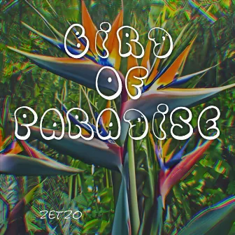 Bird of paradise by Zetzo