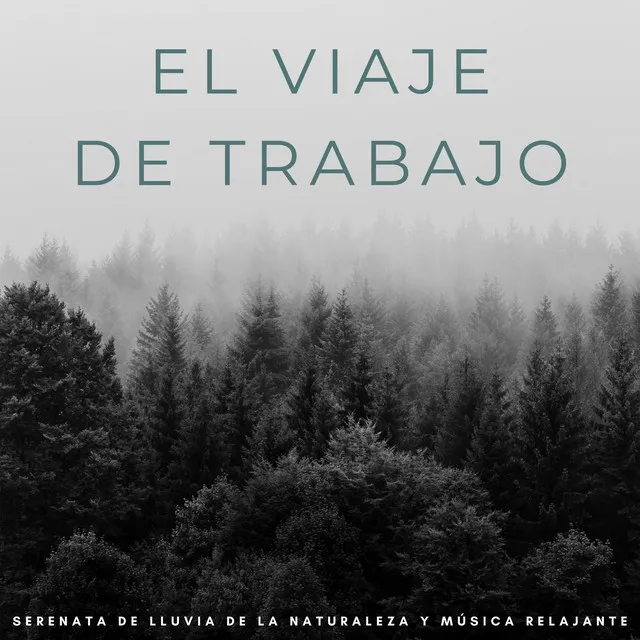 El Viaje De Trabajo: Serenata De Lluvia De La Naturaleza Y Música Relajante