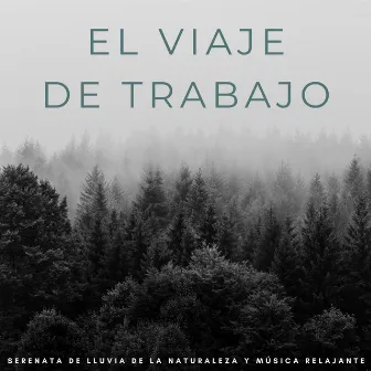 El Viaje De Trabajo: Serenata De Lluvia De La Naturaleza Y Música Relajante by Sonidos de lluvia tranquila