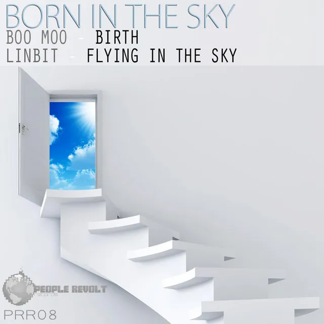 Born In The Sky