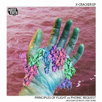 X-Cracker by Principles Of Flight