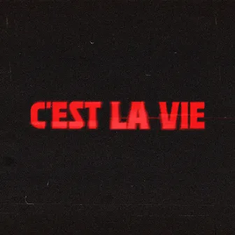 C'EST LA VIE by Sebastian Wibe