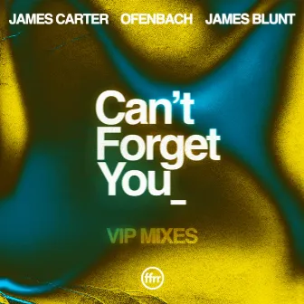 Can’t Forget You (feat. James Blunt) [VIP Mixes] by James Carter