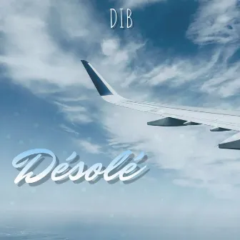 DÉSOLÉ by DIB