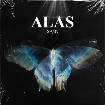 ALAS by ZAMO