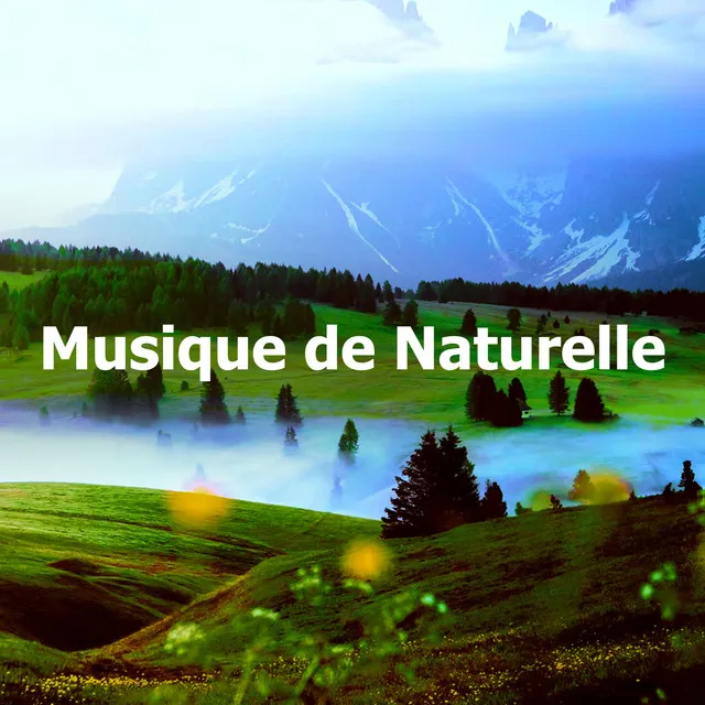 Musique de Naturelle