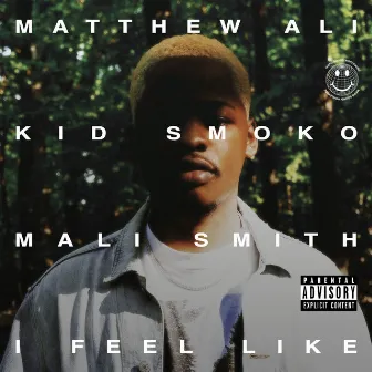 I Feel Like by Matthew Ali