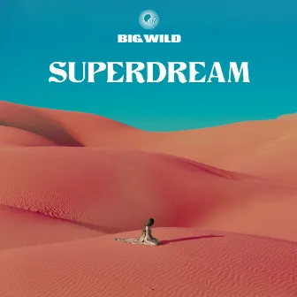 Superdream by Big Wild