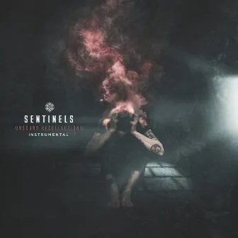 Unsound Recollections (Instrumental) by Sentinels