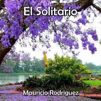 El Solitario by 