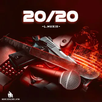 20/20 by L.MUXIX