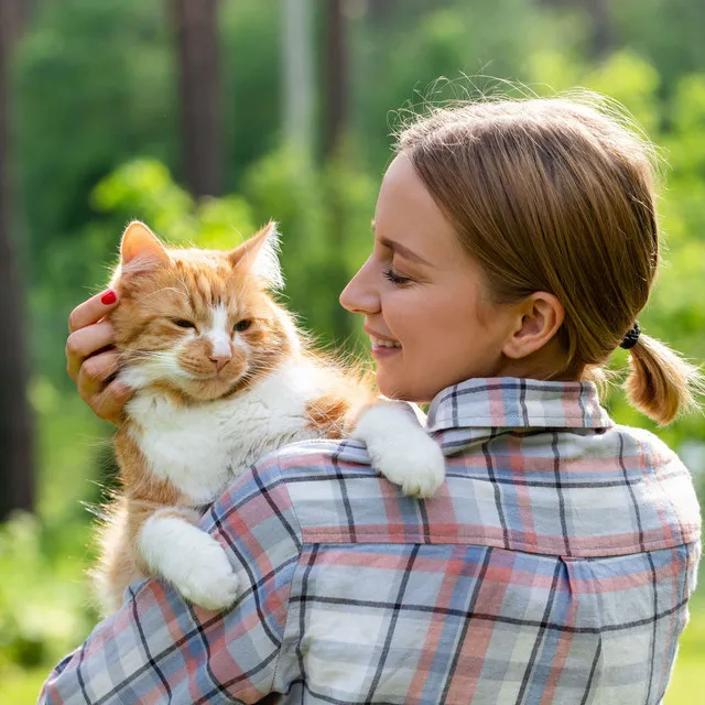 Cat Melodies: Rain and Binaural Harmonies for Feline Comfort