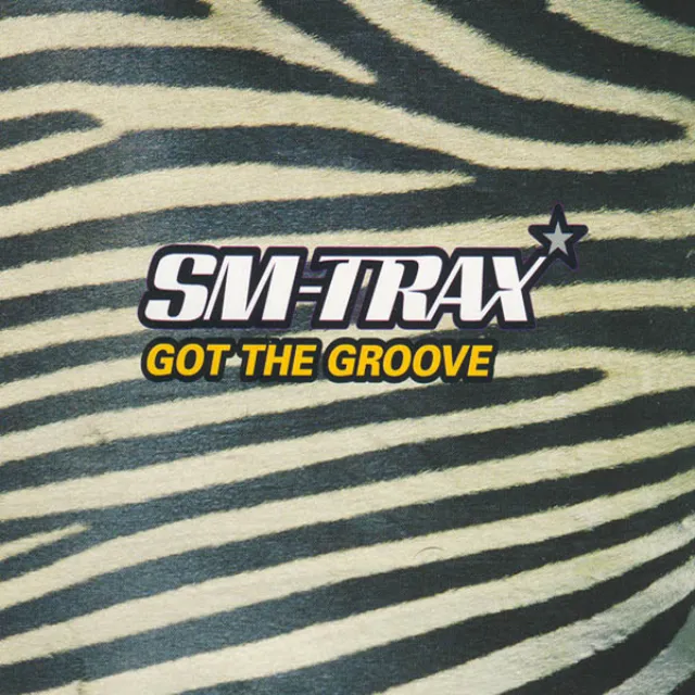 Got the Groove - SM Radio Edit