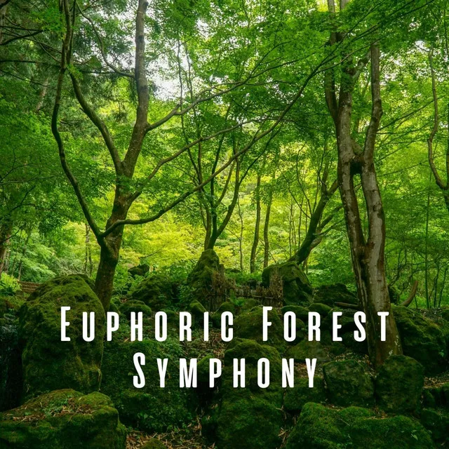 Euphoric Forest Symphony