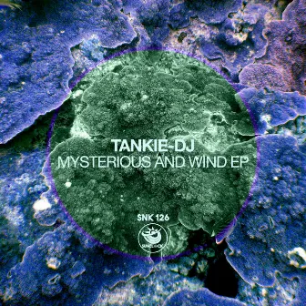 Mysterious and Wind EP by Tankie DJ