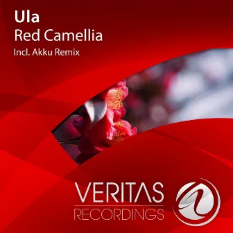 Red Camellia by Ula