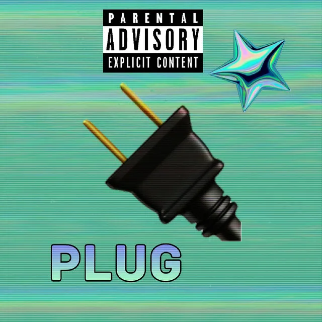 Plug