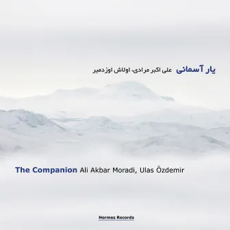 The Companion by Ali Akbar Moradi