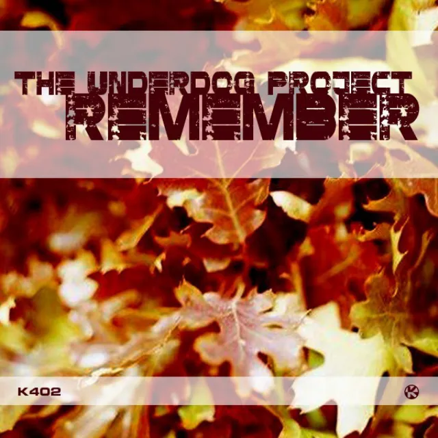 Remember (Radio Cut)