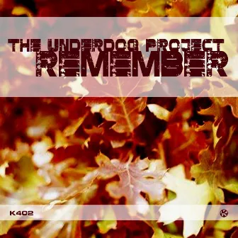 Remember by The Underdog Project