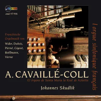 A. Cavaillé-Coll (El órgano de Santa Maria la Real de Azkoitia) by Johannes Skudlik